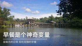 海岛冲浪